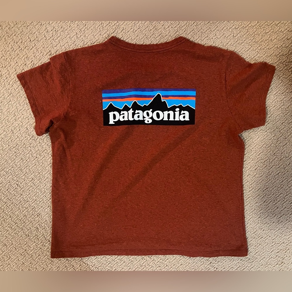 Patagonia Tshirt